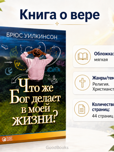 Что же Бог делает в моей жизни? Христианская книга о вере